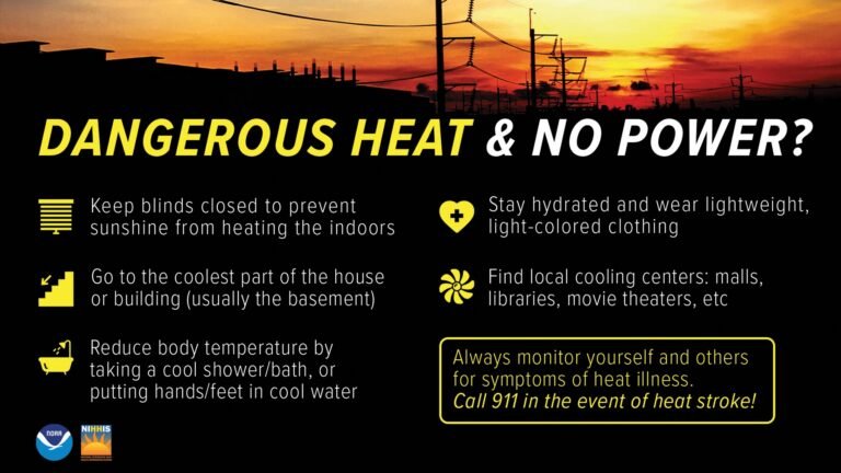 Power Outages during Extreme Heat